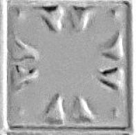 APM Clover 80mm opt