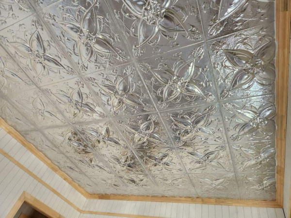 apm_elliston_ceiling