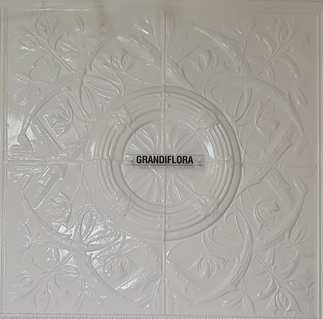 apm_grandiflora_white__750jpg