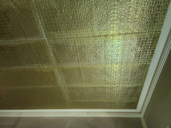 apm_medindie_ceiling_anodise