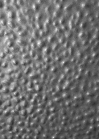 pebblecrete